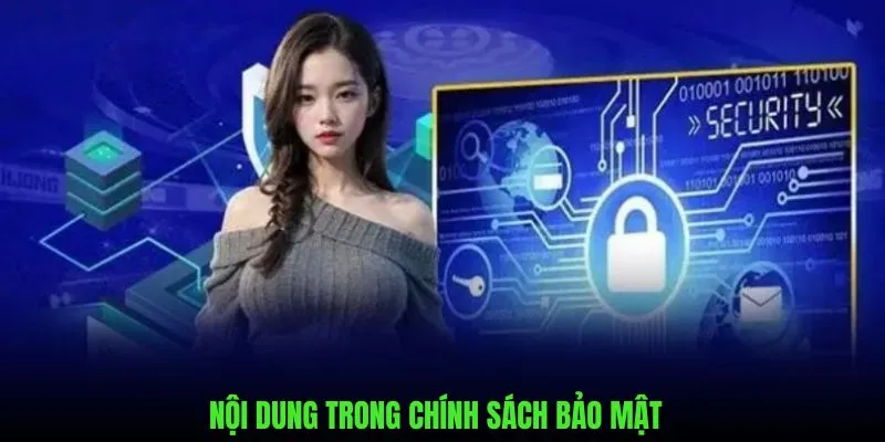 Những nét chính trong danh mục của điều khoản bảo mật
